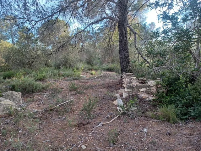 Terreno en venta en Vallmoll - foto 5