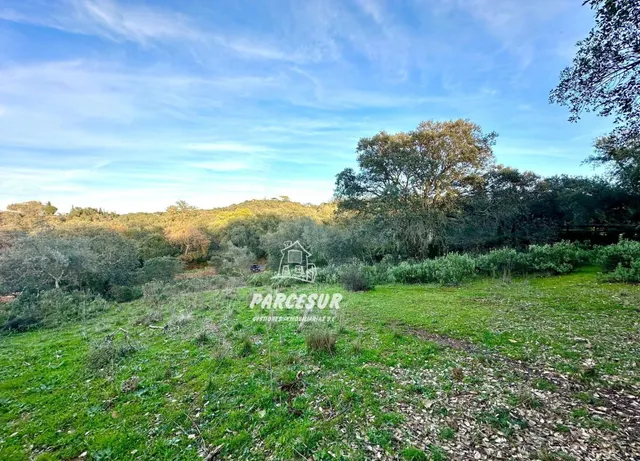 PARCELA EN ZONA ASSUAN MUY BIEN SITUADA DE 6000 m2 aprox.