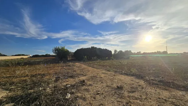 PARCELA -SEGREGADA CON REFUGIO EN ZONA PINAR DE LOS FRANCESES — 6