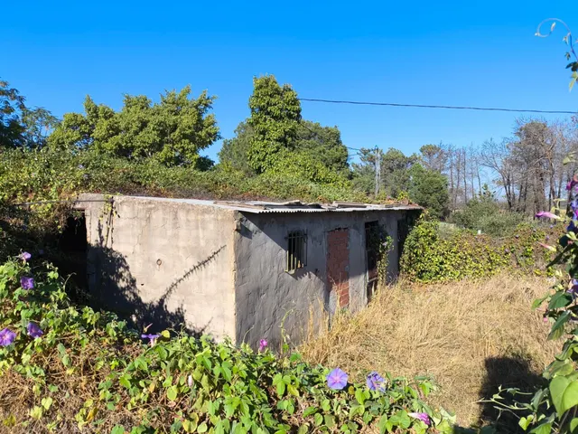 Finca Rústica en Gibraleón en la zona de la calvilla — 21