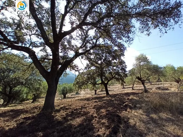 CASA CON PARCELA  EN LA SIERRA DE CADIZ -EL BOSQUE — 42