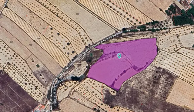 Parcela en venta - Orihuela Ciudad