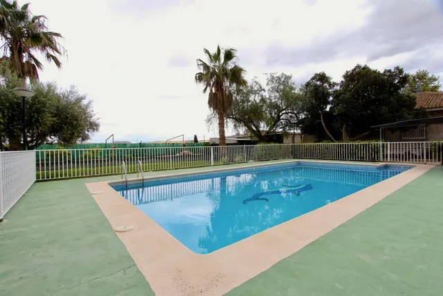Villa 6 habitaciones 140m² en venta - Cañadas de San Pedro — 25