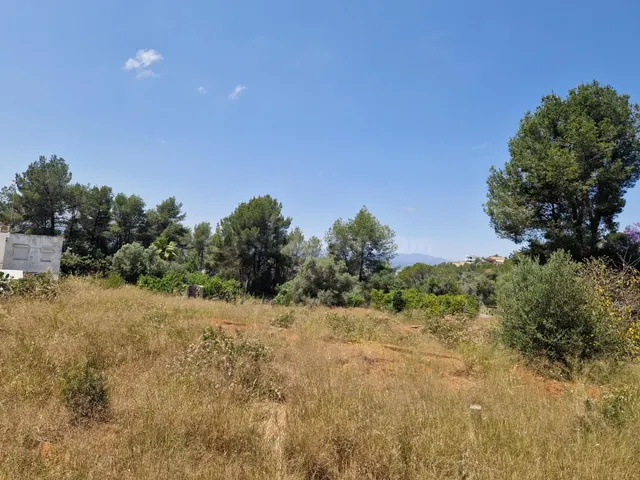 FANTASTICA Y AMPLIA PARCELA EN EL RESPIRALL - foto 4