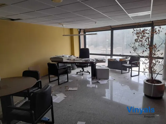 Espectaculares Oficinas con mucha luz — 15