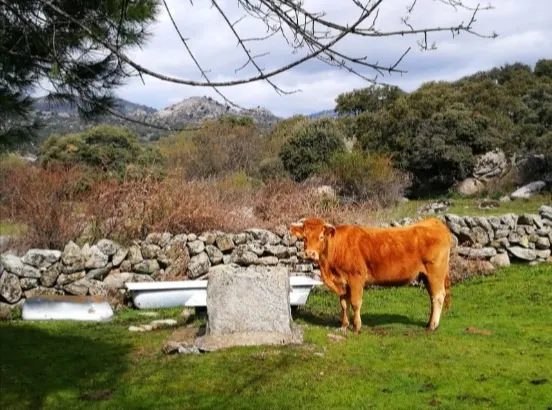 Oportunidad única: Finca rústica de 35.000 m2 en Fresnedillas de la Oliva
