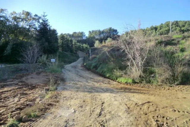 TERRENO RÚSTICO DE SECANO DE AVELLANOS - RIUDECOLS - foto 5