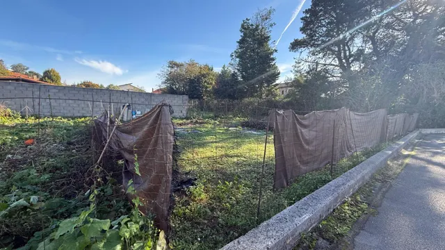 Terreno urbano en venta - Rinconeda — 12