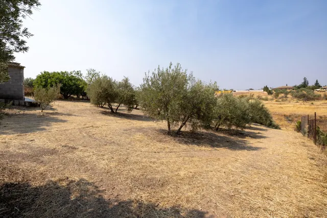 Encanto rústico con casita y olivos en Moraleja de Zafayona 🌿 — 25