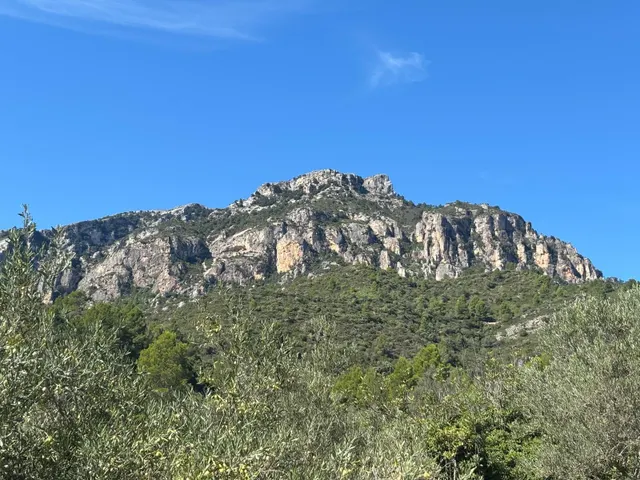 Espectacular finca rústica de 9,7 hectáreas con vivienda, piscina y vistas al Parque Natural dels Ports — 12