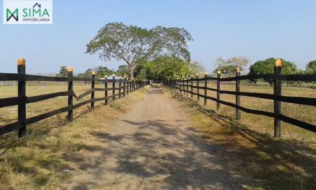 SE VENDE FINCA GANADERA EN EL MUNICIPIO DE MAHATES BOLIVAR — 7