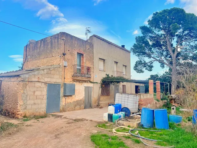 Chalet en Vinallop y plantación de olivos y mandarines en pr - foto 4
