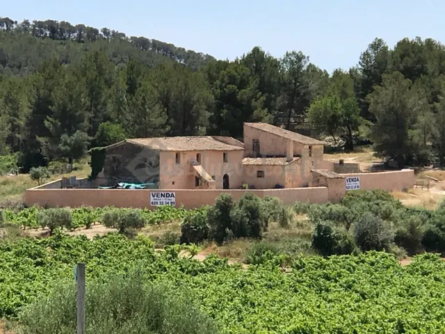 Finca rústica con dos casas a cinco minutos de Sitges. - foto 5