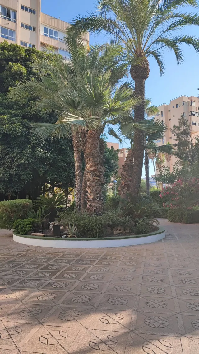 ¡Tu Refugio Exclusivo en Playa de San Juan, Alicante! 🌊🏖️ — 30