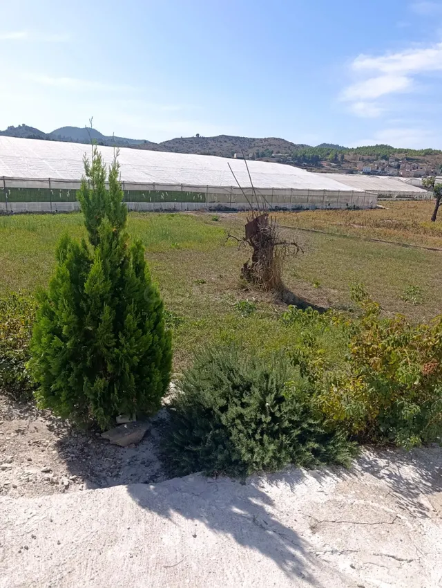 Casa de campo en paraje rural de Cehegín, ideal para 2º resi - foto 3