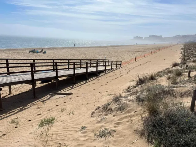 Local comercial en primera línea de La Mata con gran terraza privativa y rentabilidad inmediata — 9