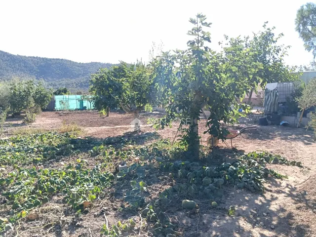 SE VENDE CHALET EN BUEN ESTADO EN ASPE ZONA CARRETERA DE LA ROMANA — 23