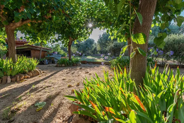 Vive en el campo con todas las comodidades de la ciudad — 19