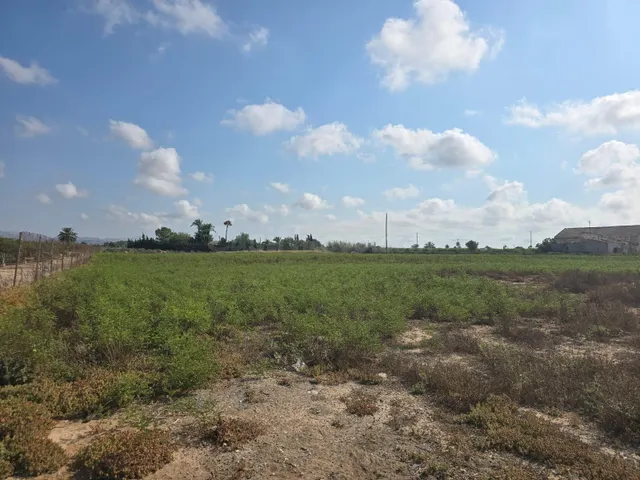 Terreno rural en venta - Valverde - foto 3
