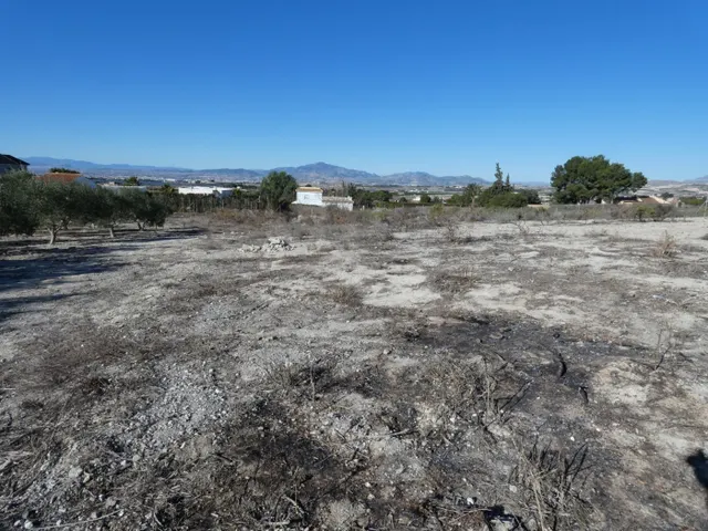 ++Terreno no urbano en Molina de Segura zona El romeral++, 2000 m — 5