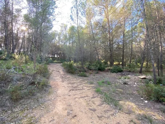 OPORTUNIDAD ENORME TERRENO EN VENTA POR 150.000€ — 17