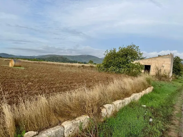 Terreno rural en venta - Pobla (Sa) — 4