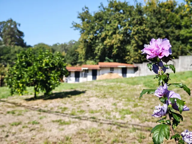 CHALET en perfecto estado conservación, con gran FINCA y a diez minutos del CENTRO de Santiago. — 20