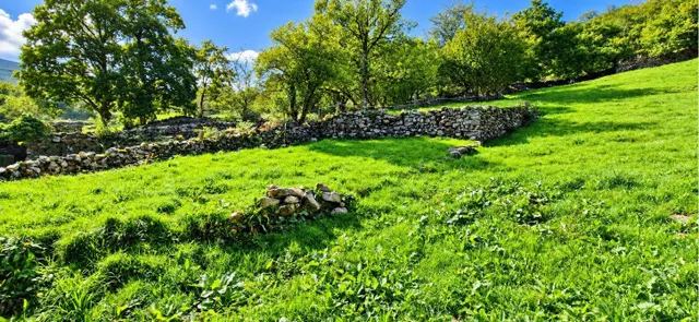 Exclusiva finca rústica de 3.899 m2 con proyecto de vivienda y autorización favorable de la crotu en sel de la carrera .- — 11