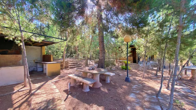 ESPECTACULAR FINCA DE 32 HECTAREAS IDEAL PARA DESCONECTAR O INVERSION PARA COMPLEJO RURAL — 28