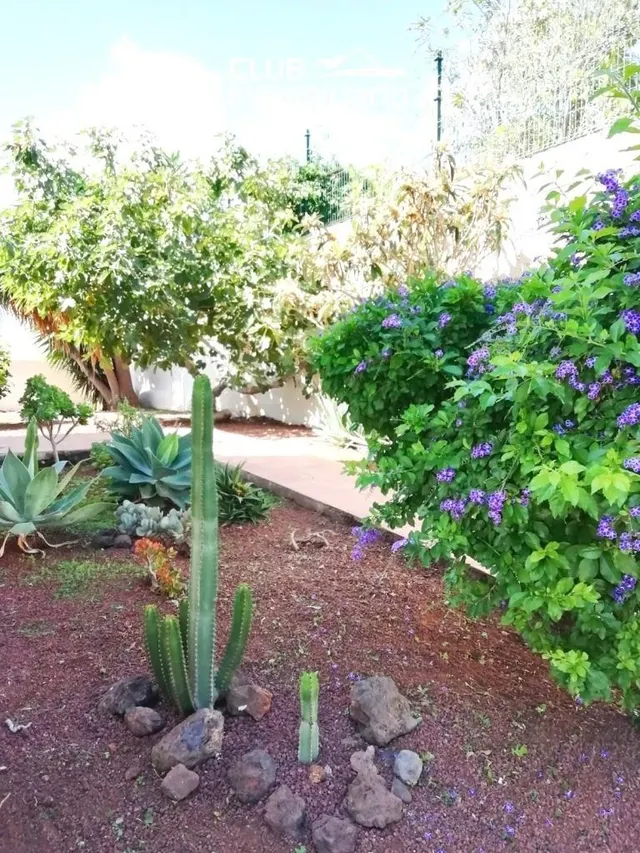 Piso amueblado de 3 dormitorios con terraza y jardín en tabaiba alta — 3