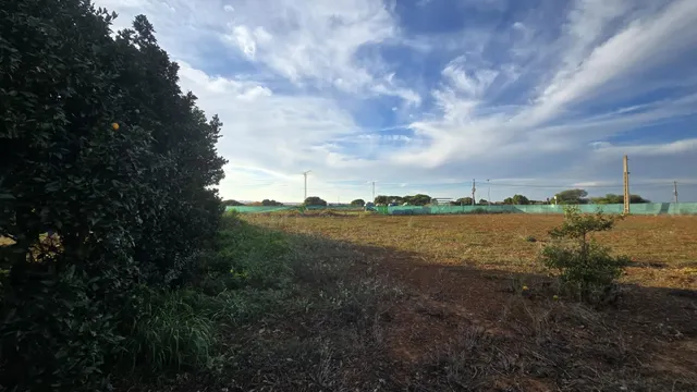 PARCELA -SEGREGADA CON REFUGIO EN ZONA PINAR DE LOS FRANCESES — 18