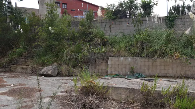 Terreno urbanizable Calle Univers, 6. 17310 Lloret de Mar, ( - foto 3