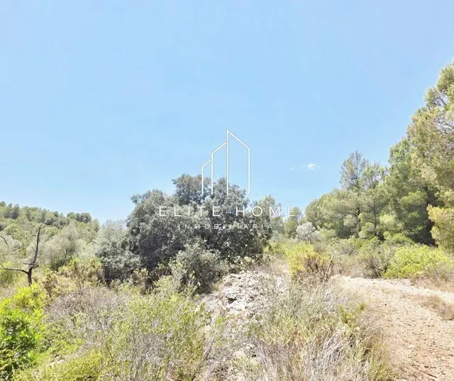FINCA RUSTICA CON GRAN POTENCIAL CERCA DE CERVERA DEL MAETRE - foto 2