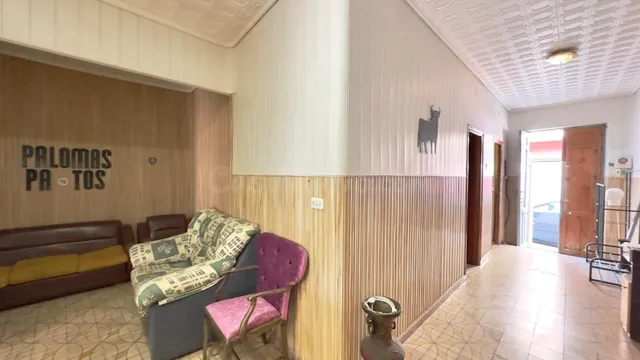 GRAN CASA DE CAMPO EN TORREVEIJA: 3 HAB, 2 BAÑOS - foto 3