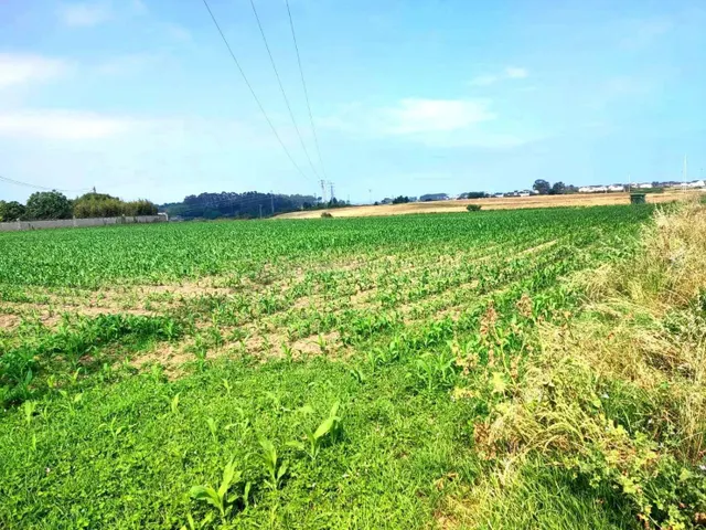 TERRENO URBANIZABLE EN MÁNTARAS, TAPIA DE CASARIEGO