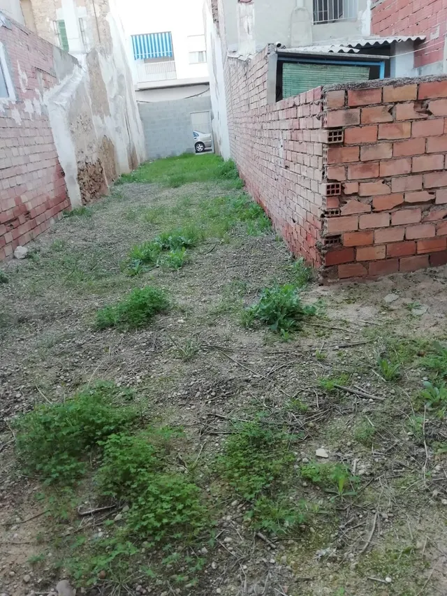 Terreno Urbano en Javalí Nuevo - foto 3