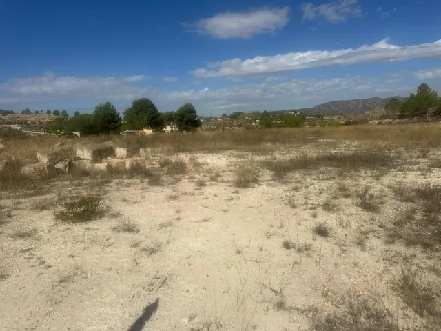 Terreno Rural Agrario de 13.000 m2 en Beties – Monóvar — 7