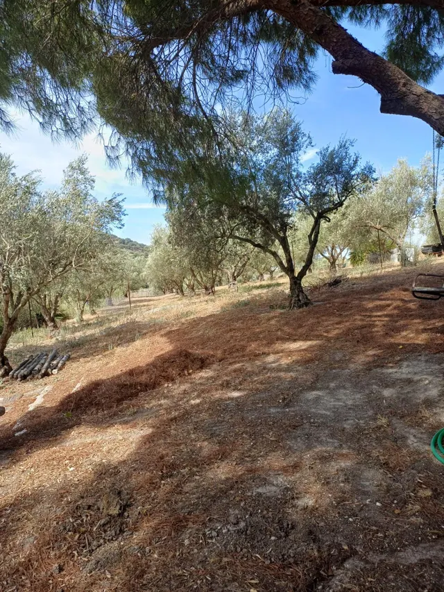 FINCA DE RECREO EN VENTA – PEDANÍA DE JEREZ — 7