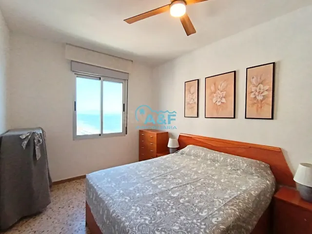 LL-31 - foto 3