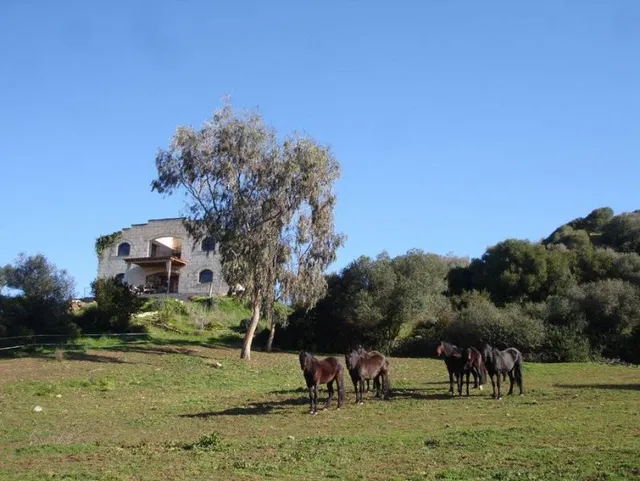 M-7117 Casa de Campo en Alaior