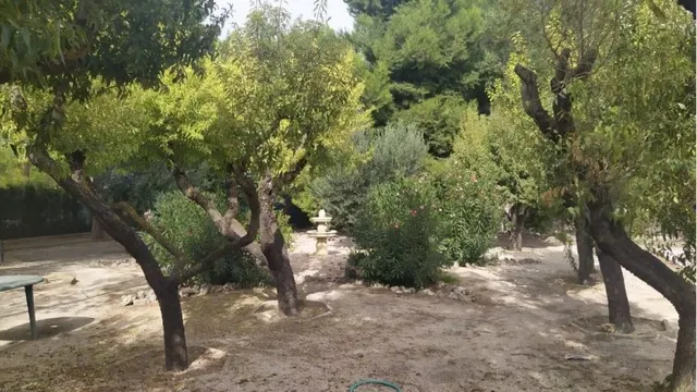 parcela 4,5 km de albacete — 14