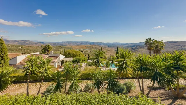 Hotel 13 habitaciones 999m² en venta - South of spain — 36