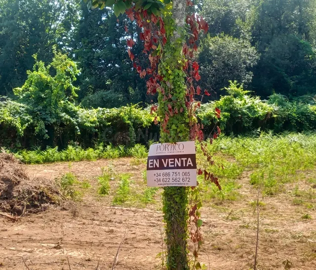 Tu vida a lo grande en Budiño: 2.400 m2 de finca, 451 m2 edi - foto 5