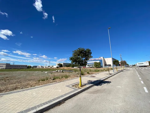 ALQUILER de Suelo Terciario-Comercial en la ZONA EL OLIVAR — 3