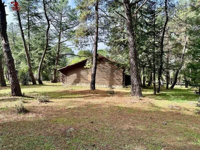 Cabaña de 75m2 rodeada de un precioso bosque en terreno urbano no consolidado de 10.117m2. — 10