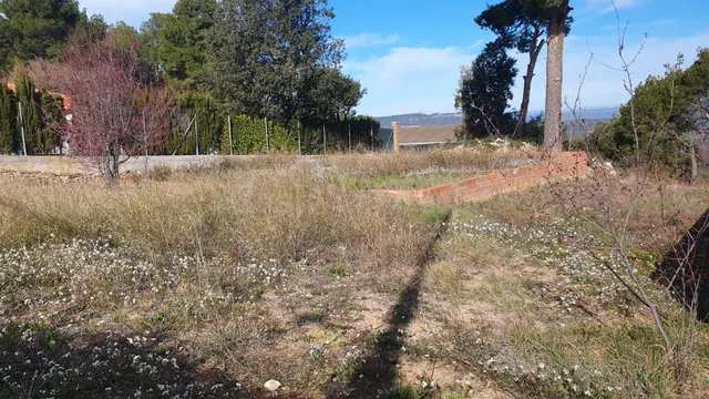 Terreno urbano en venta - Carme - foto 2