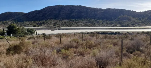 PARCELA 30.000 METROS DE TERRENO — 17