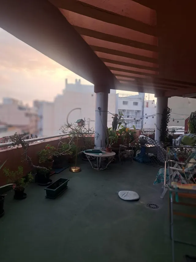 ATICO EN PLAYA PONIENTE, BENIDORM. MILPISOS.ES — 12