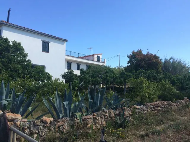 MASIA DEL 1960 CON 39000M2 DE TERRENO AGRICOLA AL LADO DEL MAR DE SANT SALVADOR — 9