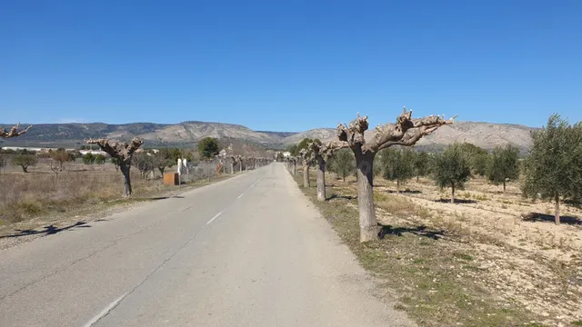 Parcela en venta - Comunidad valenciana - foto 4